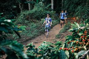 BIB: 
                            <button type="button" onclick="openModal(25836326)" class="btn btn-primary btn-sm float-right btn-popup" data-toggle="modal" data-target=".modal-high-quality">
                        <i class="fas fa-shopping-cart"></i> Add to Cart
                    </button>
                                            <button type="button" onclick="isThisMe(25836326, true)" class="btn btn-success btn-sm float-right btn-popup btn-isme hidden" data-toggle="tooltip" data-placement="bottom" title="นี่คือรูปของคุณใช่ไหม คลิกที่นี่เพื่อเอาเข้าอัลบั้ม">
                        <i class="fas fa-plus"></i> Add to album
                    </button>
                    <button type="button" onclick="isThisMe(25836326, false)" class="btn btn-warning btn-sm float-right btn-popup btn-isnotme hidden">
                        <i class="fas fa-ban"></i> Remove from album
                    </button>